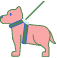 Pet Service